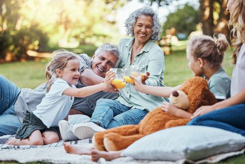 Grandparents with grandkids on a picnic blanket, los gatos ca